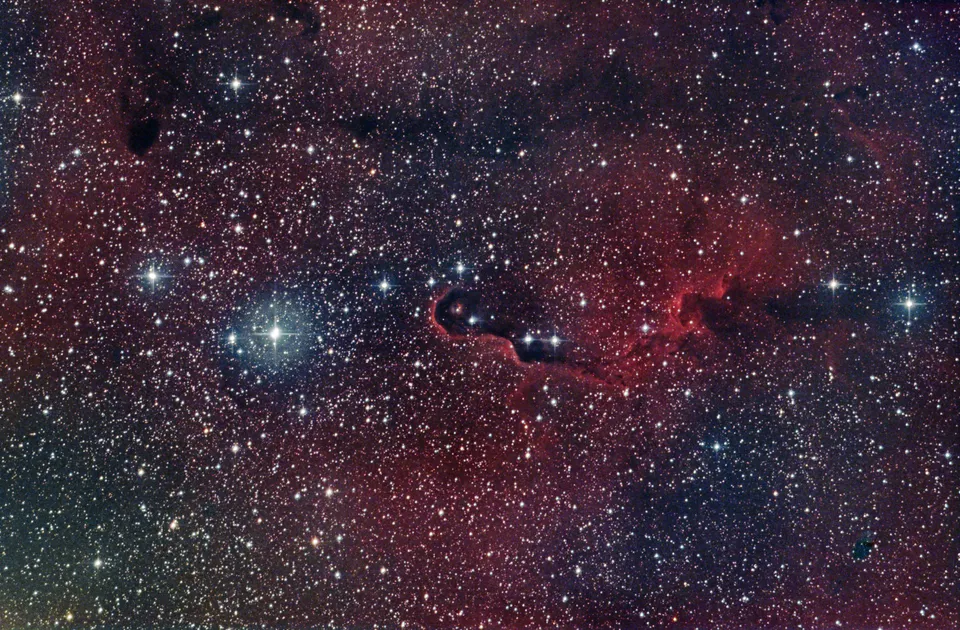 Elephant Trunk Nebula: astrophotograph by Pete Lawrence