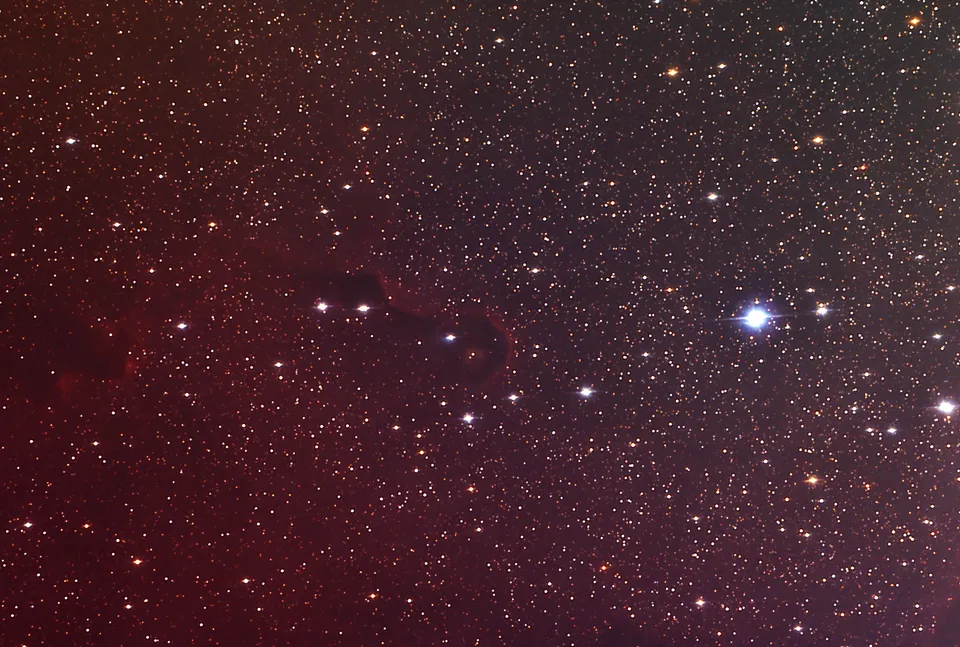 Elephant Trunk Nebula: astrophotograph by Pete Lawrence