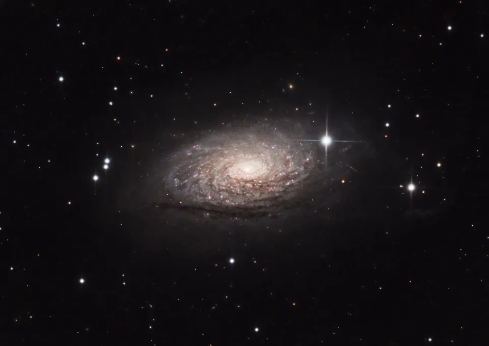 Sunflower Galaxy: astrophotograph by Pete Lawrence