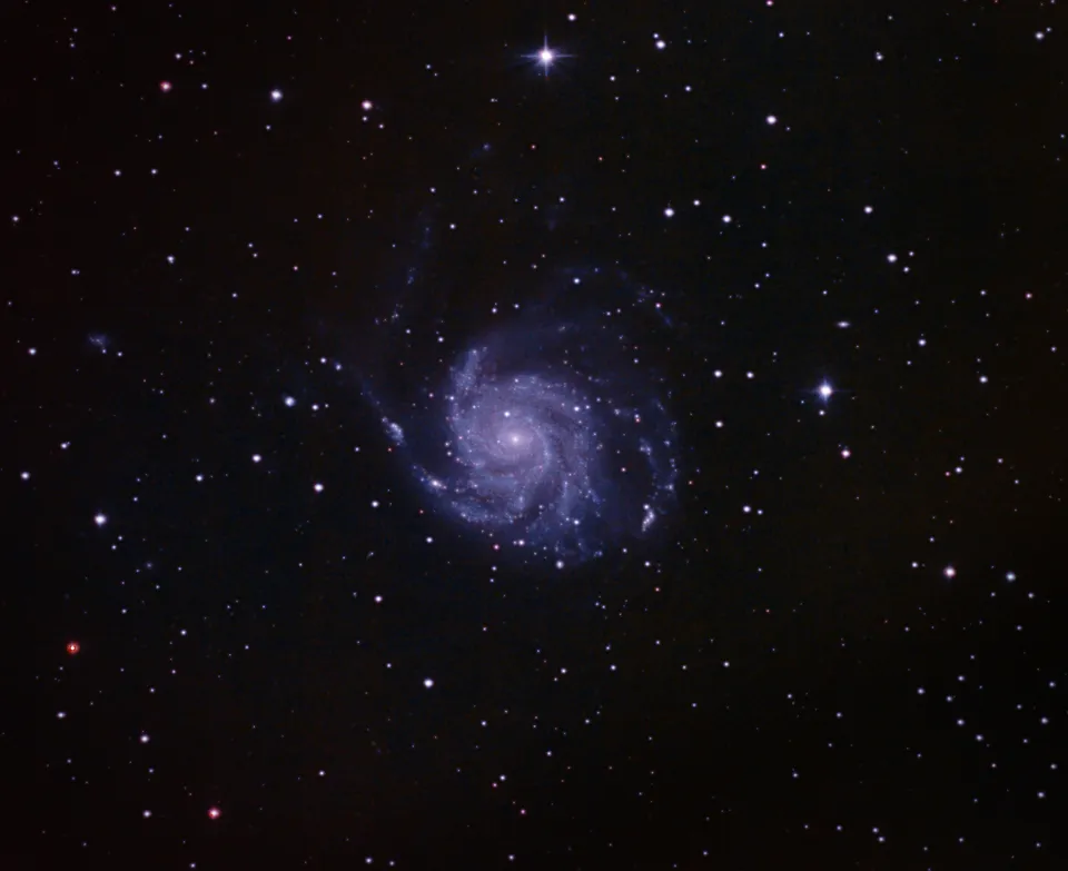 The Pinwheel Galaxy: astrophotograph by Pete Lawrence