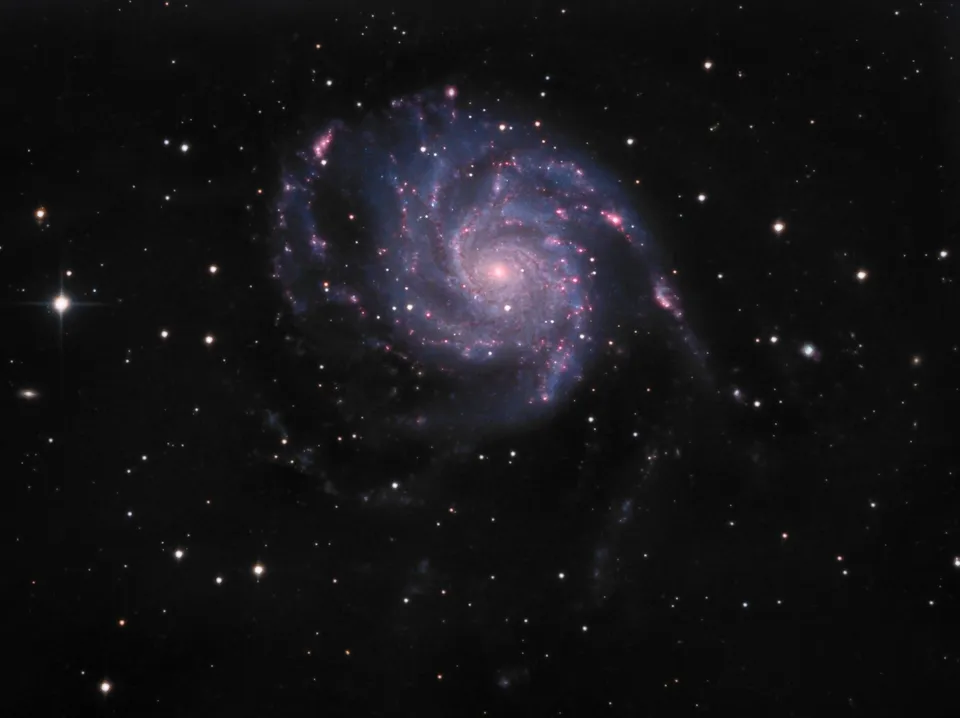 The Pinwheel Galaxy: astrophotograph by Pete Lawrence